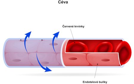 Céva a producenti NO