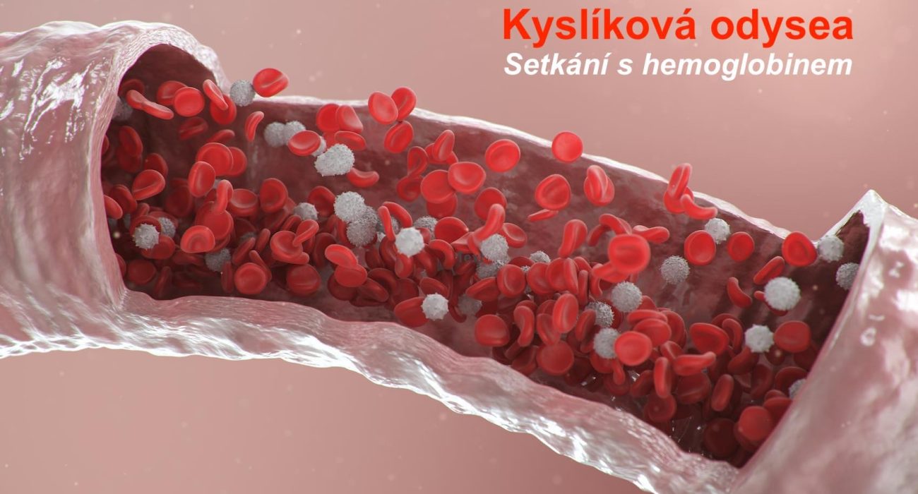 3d illustration of red blood cells inside an artery, vein. Healthy arterial cross-section blood flow. Scientific and medical microbiological concept. Enrichment with oxygen and important nutrients.