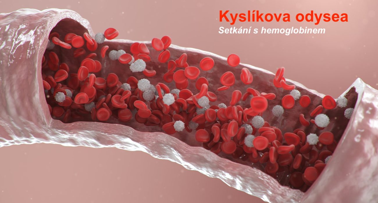 red blood cell, hemoglobin